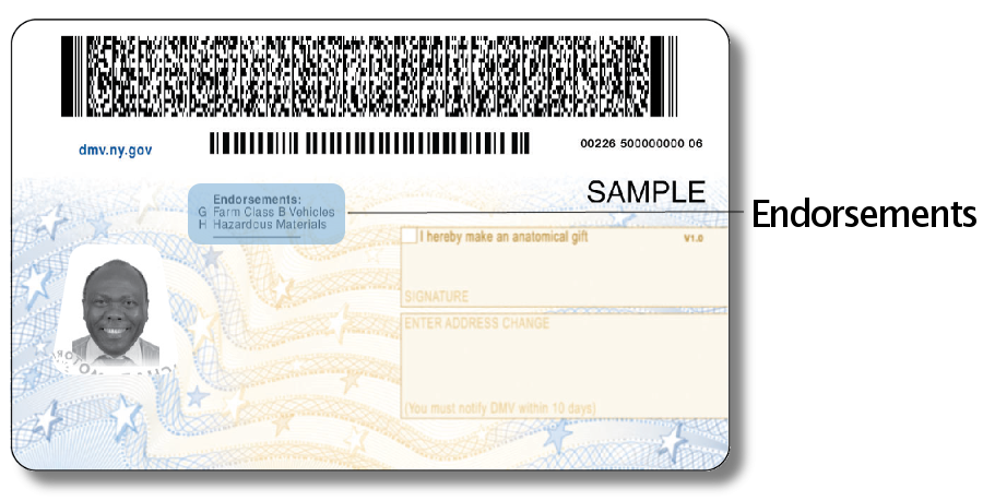 Document Number On Drivers License California - corepig